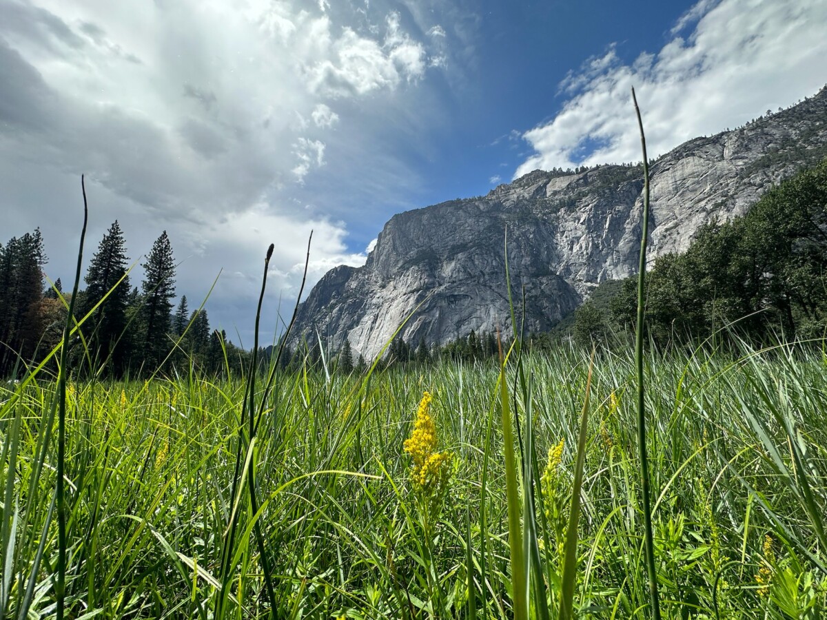 Yosemite Valley Skyline